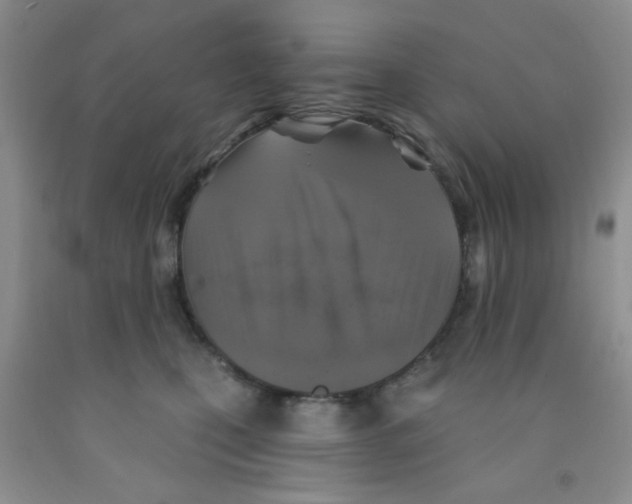 X0000091350471200709071242