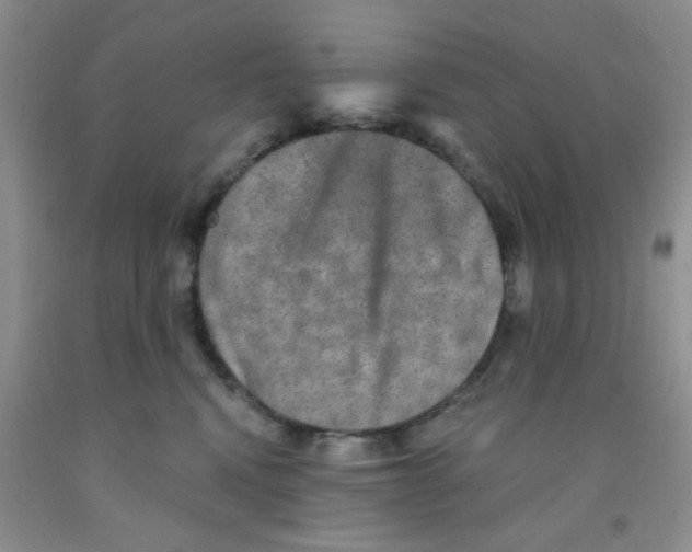 X0000091350472200709071242