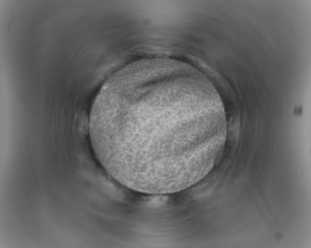 X0000091350474200709071242