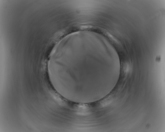 X0000091350475200709071242