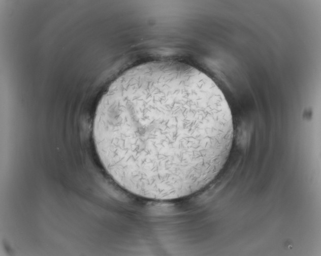 X0000091350476200709071242