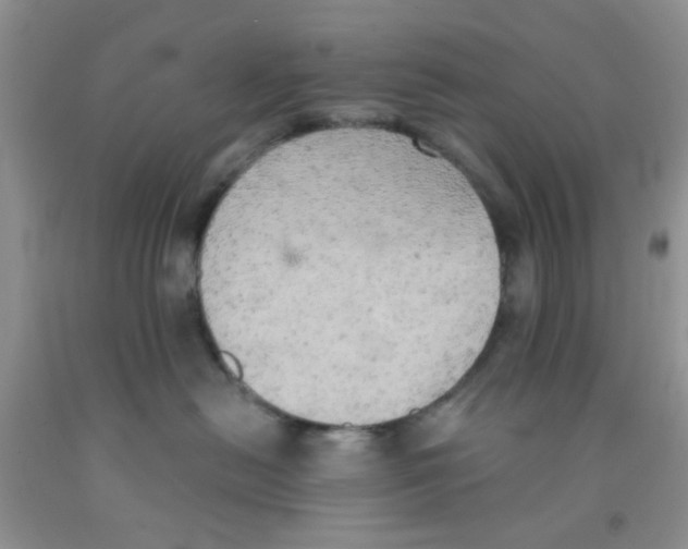 X0000091350478200709071242
