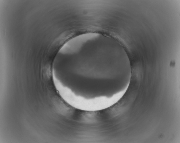 X0000091350479200709071242
