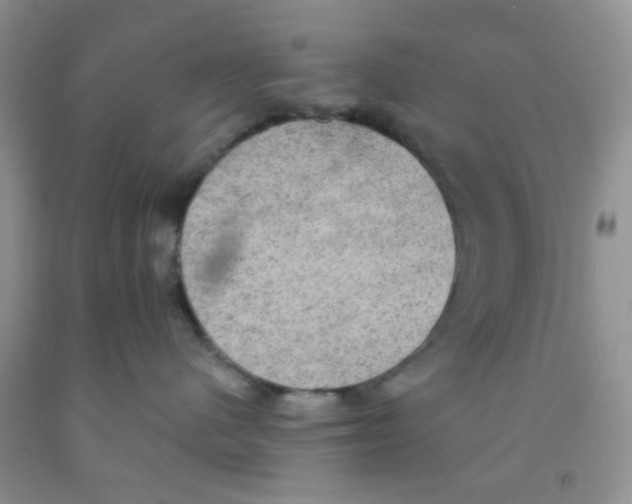 X0000091350480200709071242