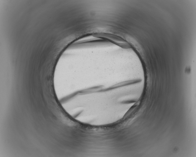 X0000091350481200709071242