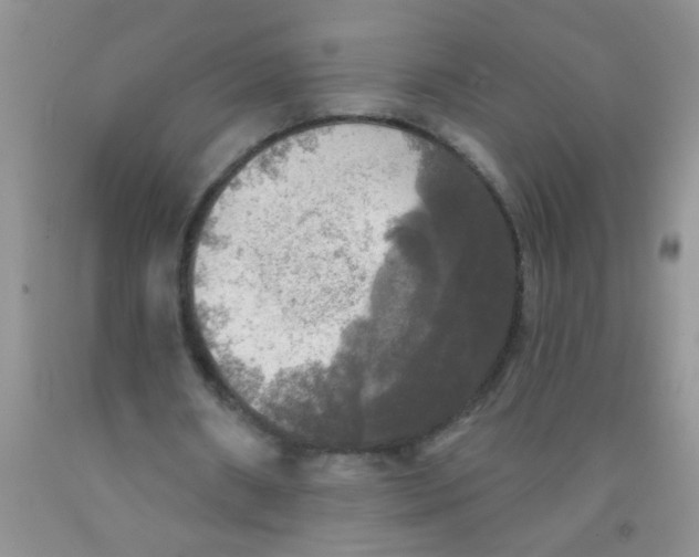 X0000091350482200709071242