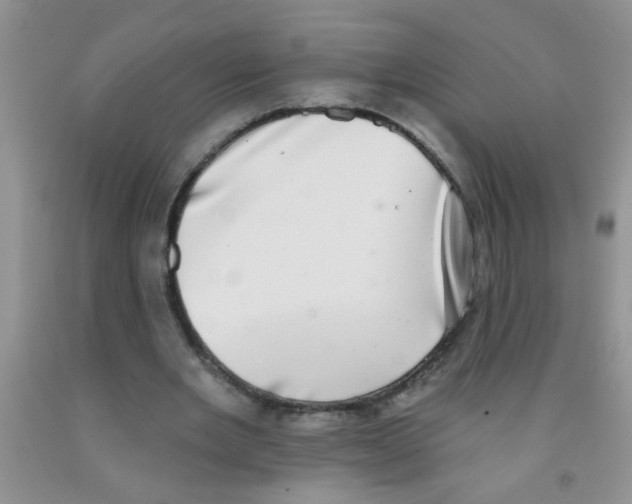 X0000091350485200709071242