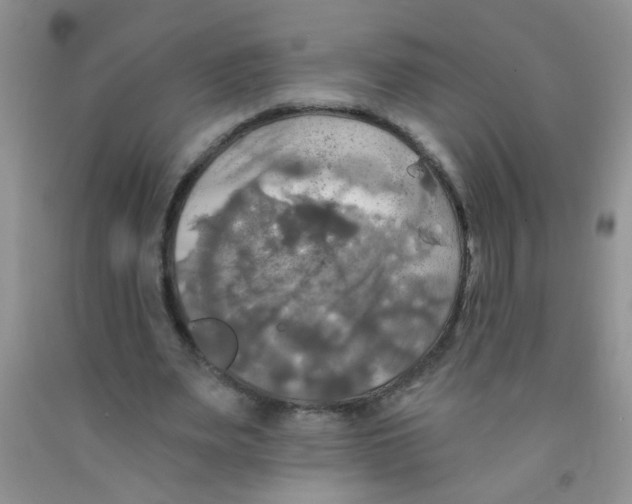 X0000091350487200709071242