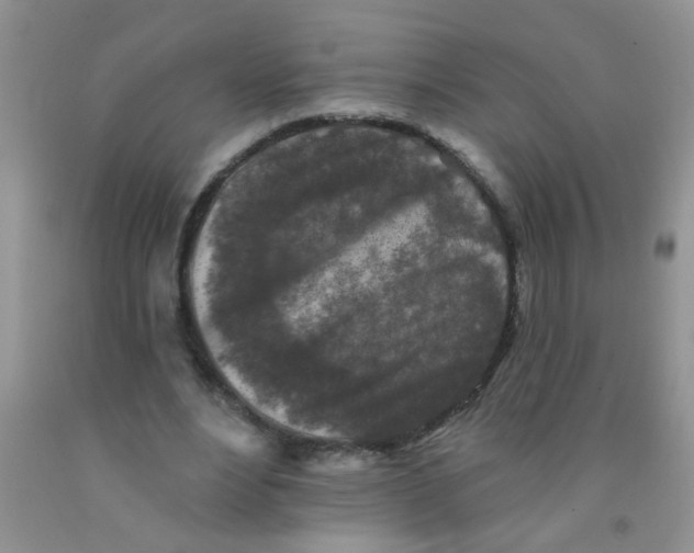 X0000091350488200709071242