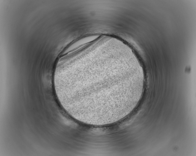 X0000091350489200709071242