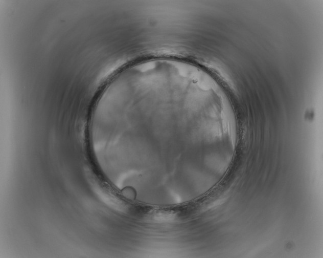 X0000091350491200709071242