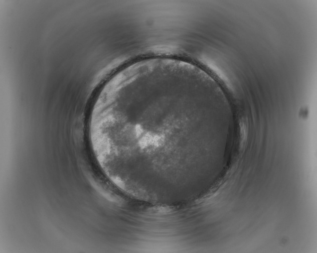 X0000091350492200709071242