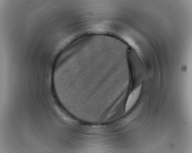 X0000091350493200709071242