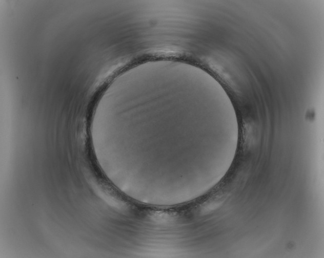 X0000091350494200709071242