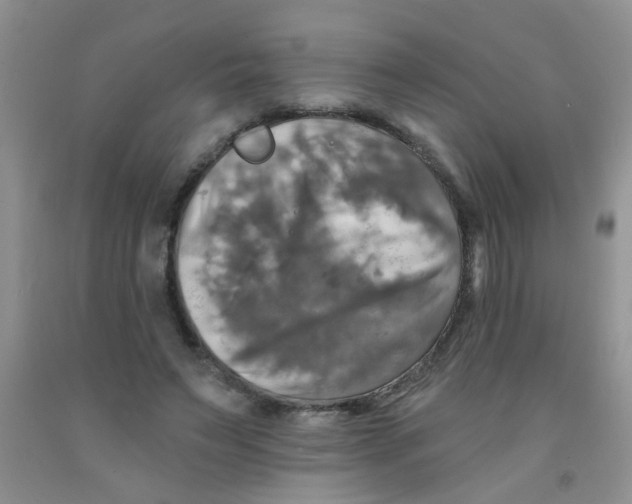 X0000091350495200709071242