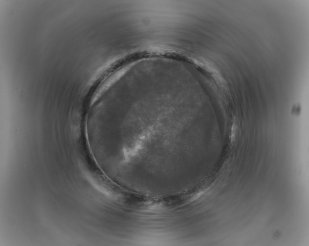 X0000091350496200709071241