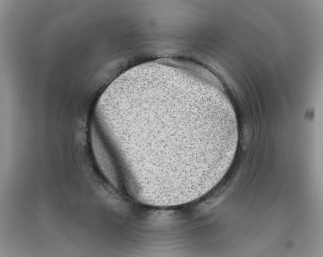 X0000091350497200709071241