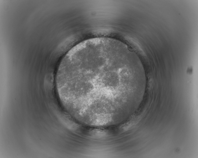 X0000091350498200709071241