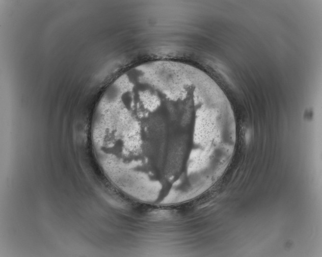 X0000091350499200709071241