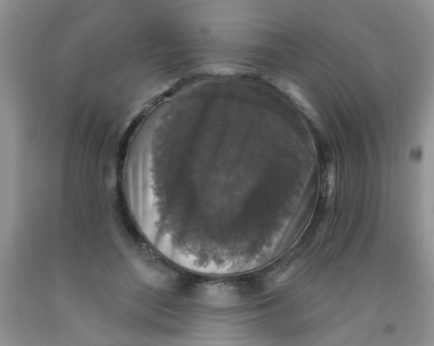 X0000091350500200709071241