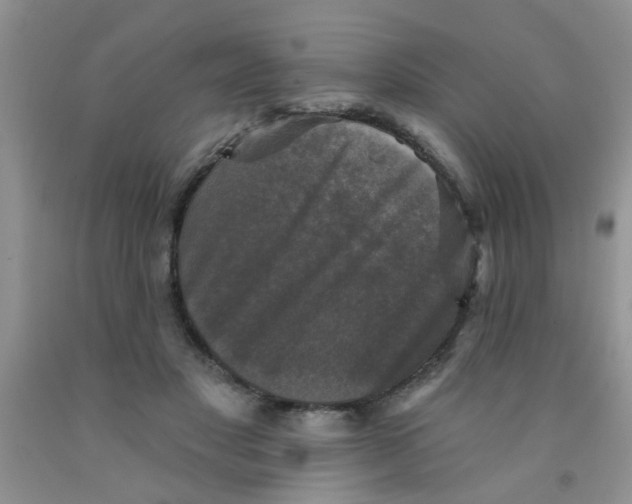 X0000091350501200709071241