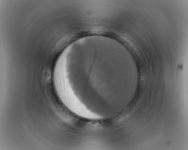 X0000091350502200709071241