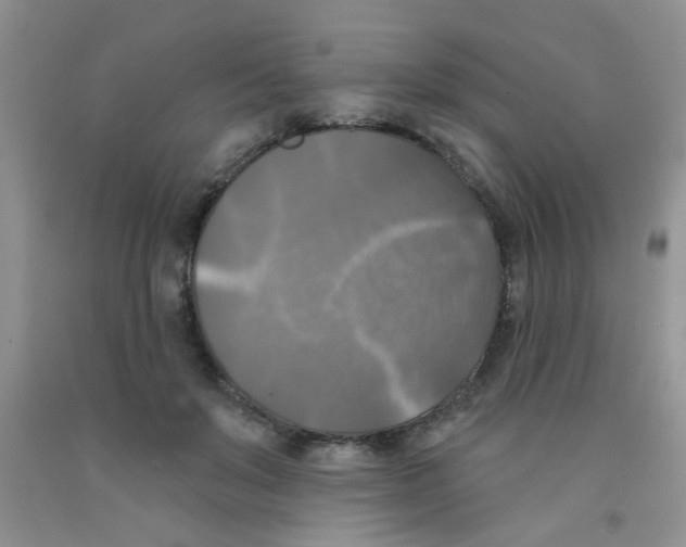 X0000091350503200709071241