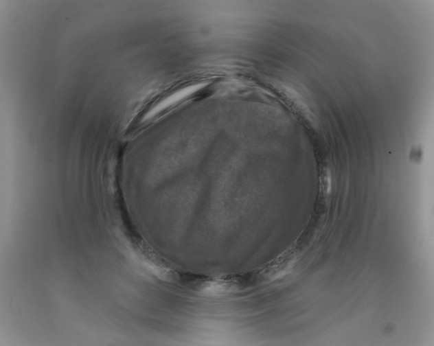 X0000091350504200709071241