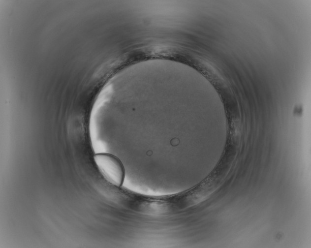 X0000091350506200709071241