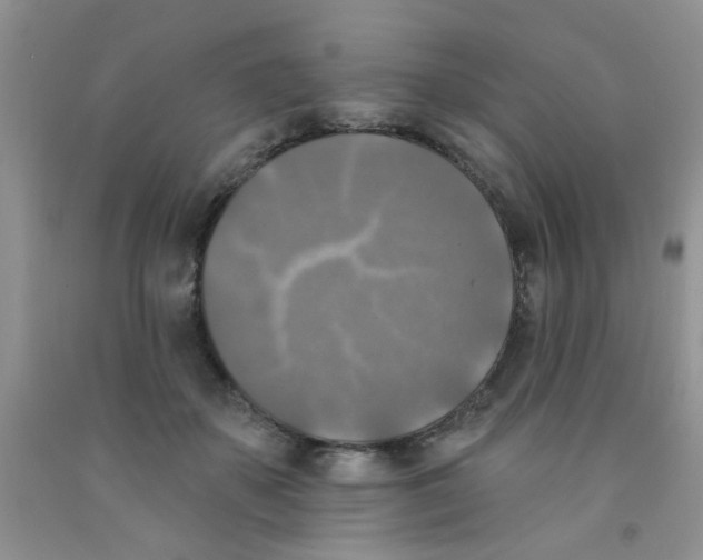 X0000091350507200709071241