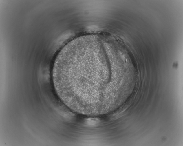 X0000091350508200709071241