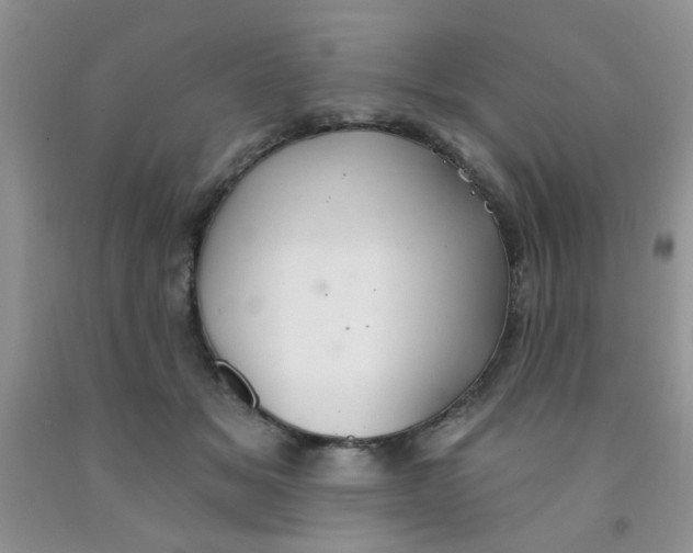 X0000091350509200709071241