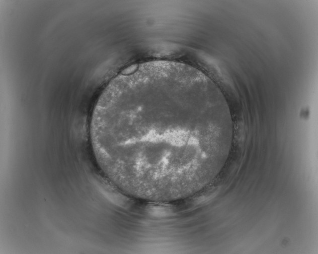 X0000091350510200709071241