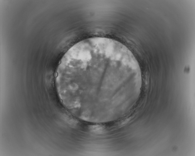 X0000091350511200709071241