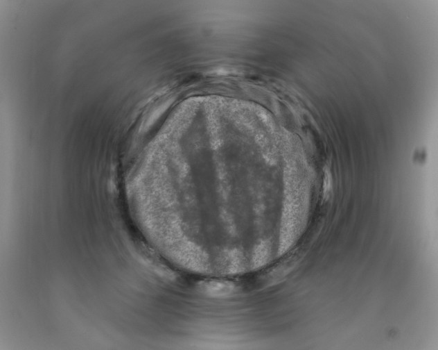 X0000091350512200709071241