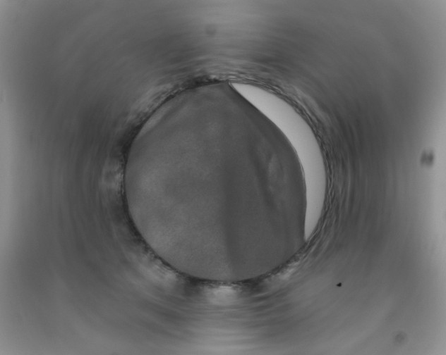 X0000091350513200709071241
