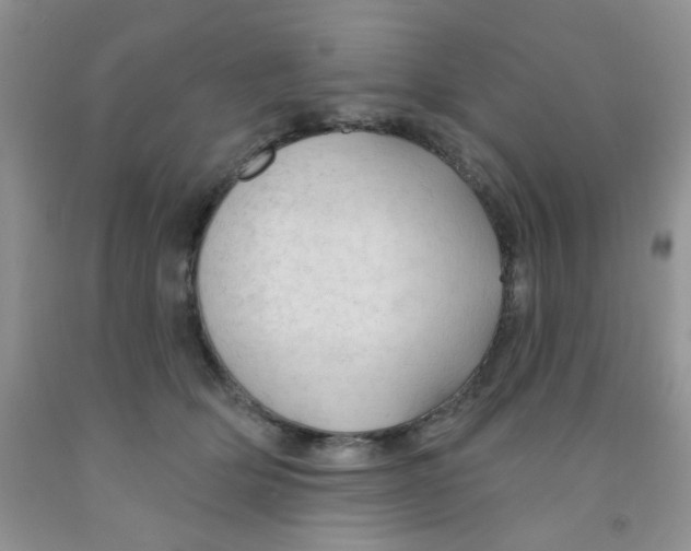 X0000091350514200709071241