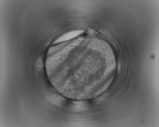 X0000091350516200709071241