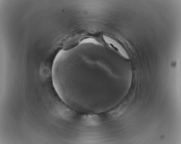 X0000091350517200709071241