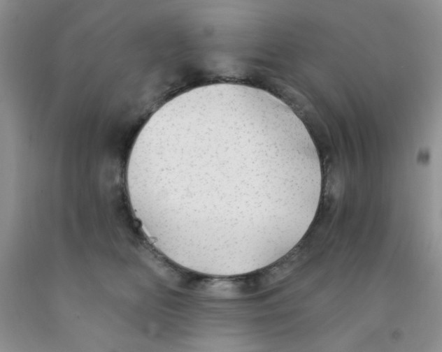 X0000091350518200709071241