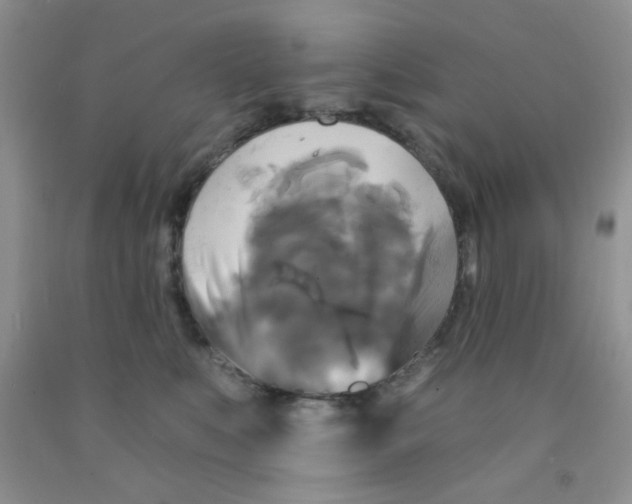 X0000091350519200709071241