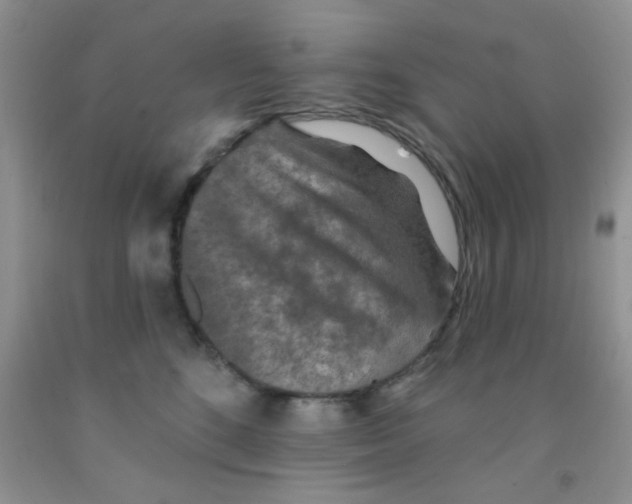 X0000091350520200709071241