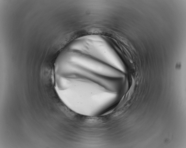 X0000091350521200709071241