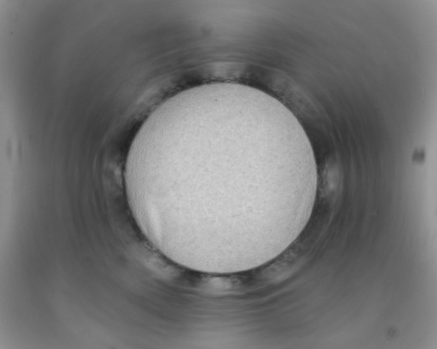 X0000091350522200709071241
