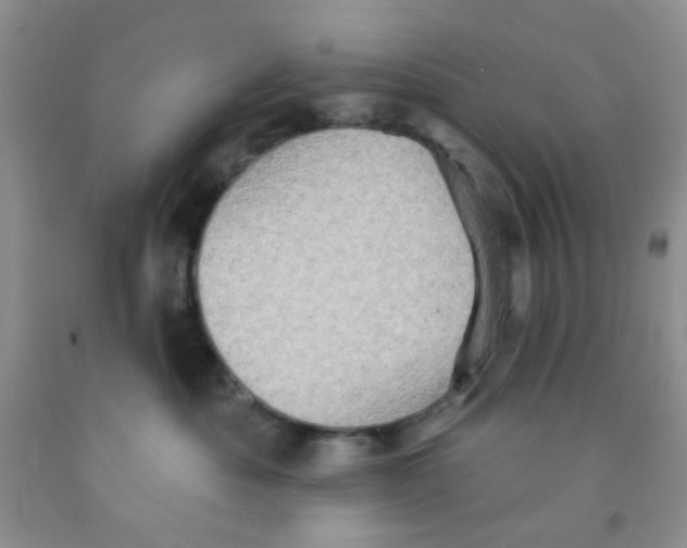X0000091350525200709071241