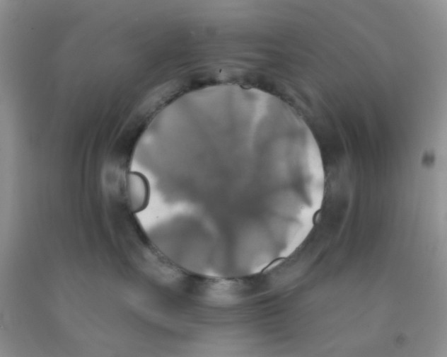 X0000091350527200709071241