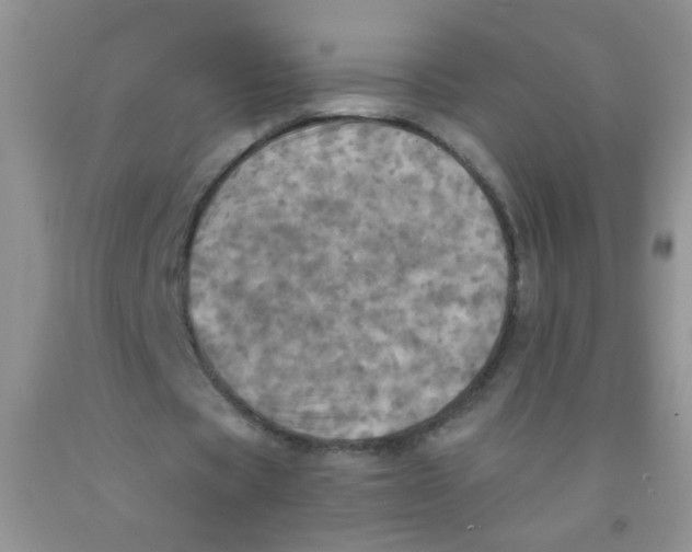 X0000091350529200709071240