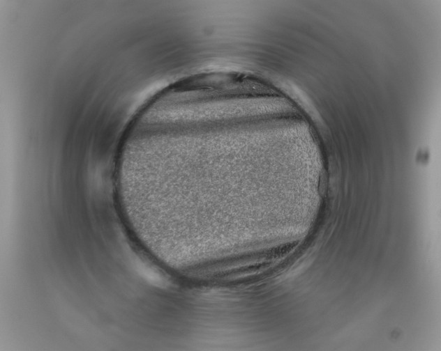 X0000091350530200709071241