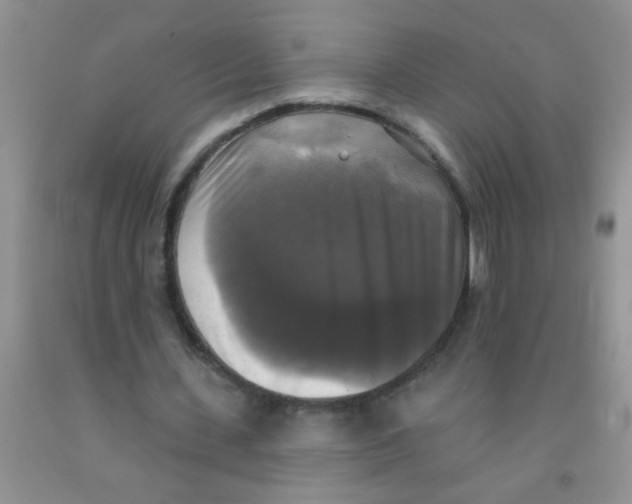 X0000091350531200709071241