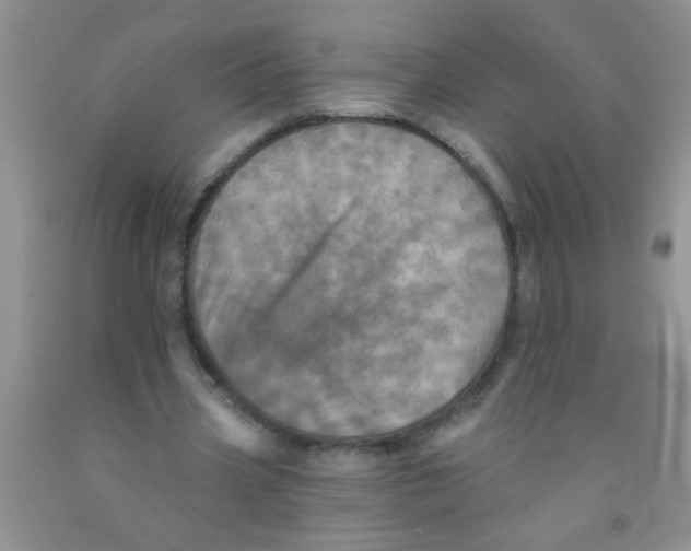 X0000091350533200709071241